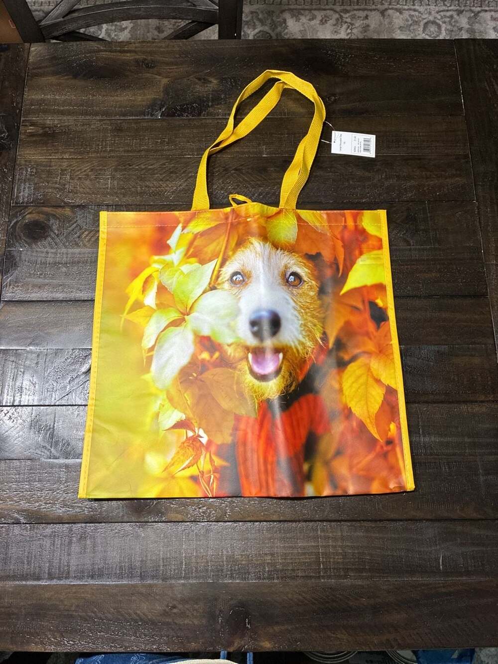 Kohl's Large Reusable Tote Bag Dog Autumn Leaves